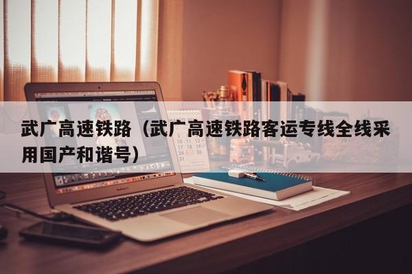 武广高速铁路（武广高速铁路客运专线全线采用国产和谐号）  第1张