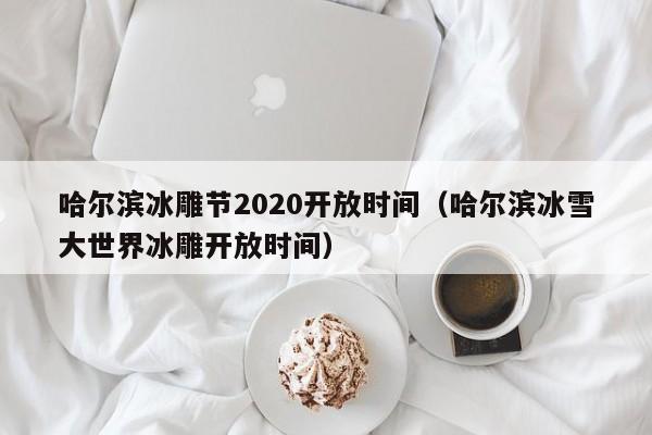 哈尔滨冰雕节2020开放时间（哈尔滨冰雪大世界冰雕开放时间）