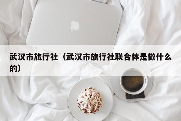 武汉市旅行社（武汉市旅行社联合体是做什么的）