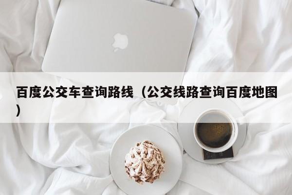 百度公交车查询路线（公交线路查询百度地图）  第1张