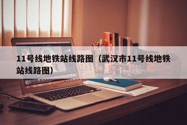 11号线地铁站线路图（武汉市11号线地铁站线路图）