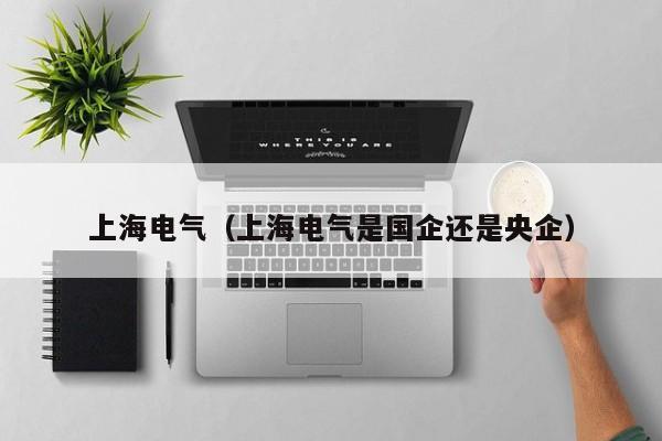 上海电气（上海电气是国企还是央企）  第1张
