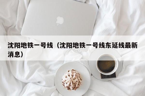 沈阳地铁一号线（沈阳地铁一号线东延线最新消息）  第1张