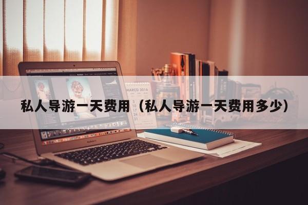 私人导游一天费用（私人导游一天费用多少）