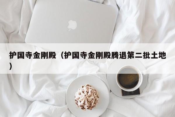 护国寺金刚殿（护国寺金刚殿腾退第二批土地）
